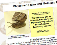 manandmollusc.net